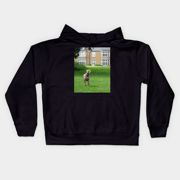 Dog with a ball playing in the park Kids Hoodie by fantastic-designs